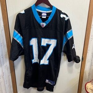 Reebok Jake Delhomme #17 Carolina Panthers NFL Equipment Football Jersey